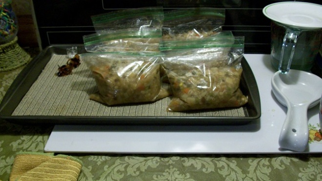bagged veggie soup